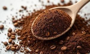 [La Mejor Opción] Café Instantáneo Vietnamita en Polvo 1 en 1, Café Negro Instantáneo en Polvo, Precio al por Mayor de Vietnam - Product Image 4