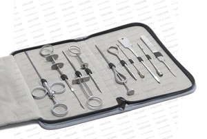 Juego de Agujas de Cánula para Tetina y Útero Veterinario, 10 Piezas, Acero Inoxidable, Kit de Instrumentos para Vacas Lecheras con Estuche con Cierre, Vaslcare - Product Image 4
