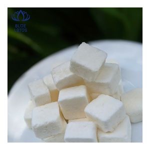 Yogurt Seco en Trozos, el Más Vendido, para Meriendas Diarias y como Adorno para Postres y Productos de Panadería - Product Image 1