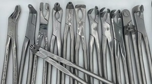 Pinzas de Acero Inoxidable Reutilizables de Alta Calidad para Extracción Dental de Molares Inferiores en Animales Grandes - Product Image 4