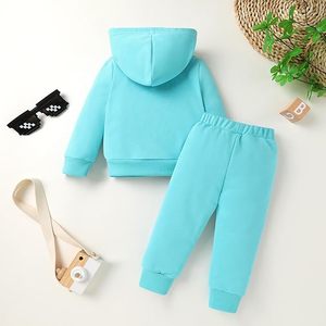 Wear Training Suit Casual Streetwear Outfit Hooded <b>Sweatshirt</b> and Pants Cotton Fleece Fabric Soft - Product Image 3