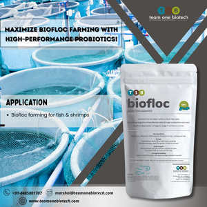 โปรไบโอติกสำหรับการเลี้ยงกุ้งแบบไบโอติกช่วยเพิ่มการใช้อาหารสัตว์ - Product Image 5