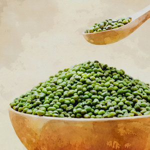 Proveedor de Proteína Vegetal Saludable que Ofrece Frijoles Mung Verdes en Forma Seca con Limpieza Avanzada y Soporte para Empaque de Exportación - Product Image 6