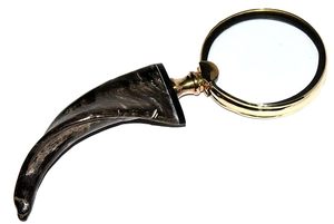 Loupe en laiton antique avec poignée en corne naturelle, décoration de bureau vintage, loupe de lecture - Product Image 6