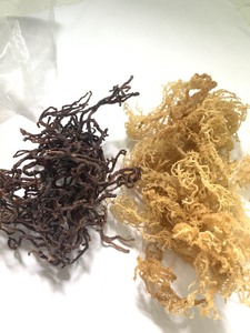 Nori naturel cru, torréfié, biologique, sauvage et frais en sachet pour smoothies et boissons - Product Image 2