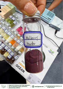 Poudre de mûrier pure et naturelle (qualité alimentaire) de HGO Factory Direct Supply, séchée par pulvérisation ou lyophilisée. - Product Image 2