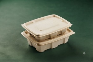 Contenedor Rectangular de Bagazo Natural de 750 ml para Llevar, Apto para Alimentos, Hermético, Ecológico, Compostable, Caja Desechable para Alimentos - Product Image 2