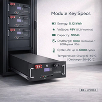 Batterie LiFePO4 pour rack de serveur 51,2 V 100 Ah 200 Ah, 6000 cycles, 5 kWh 10 kWh, stockage d'énergie domestique, lithium empilable, hybride solaire pour réseau