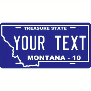 CIFbuy Targa Personalizzabile Minnesota Shining North Star in Metallo Decorazione TikTok per Servizio Ritiro Temu - Product Image 1