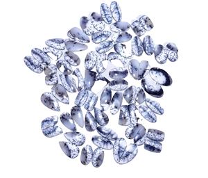 Dendrite โอปอลควอทซ์อาเกต Cabochon คู่พลอย Cabochon คุณภาพสูงสำหรับเครื่องประดับอัญมณีในราคาโรงงานสำหรับต่างหู - Product Image 5