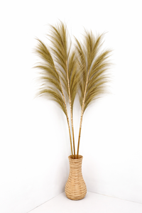 Hierba Seca Natural Rayung Hecha a Mano, Estilo Pampas, para Rellenar Jarrones, Decoración del Hogar - Product Image 2