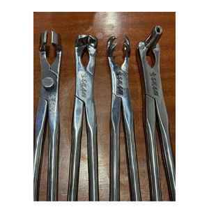 Juego de 4 Pinzas de Extracción Dental Equinas para Molares, Cirugía Oral Veterinaria, Pinzas para Molares Equinos de Alta Calidad - Product Image 2