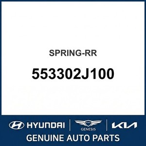 Borrego New Leaf & Coil Springs 553302J100 - Product Image 1