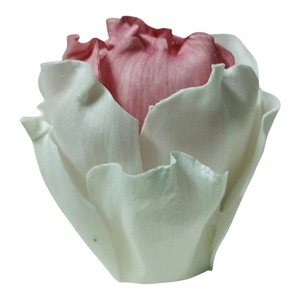 VADEE SOLA WOOD FLOWER SET ROSE Diffuser SET03 6.5CM Rose Poudrée Bâtonnets en Fibre de Plante de Sésbanie Aromathérapie Faits Main Durables - Product Image 4