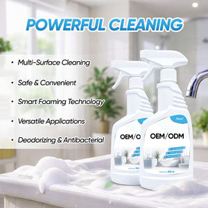 Limpiador Multiusos en Aerosol que Elimina Grasa, Manchas de Agua Dura, Vidrio, Acero Inoxidable y Superficies de Cocina, 5%-15% de Ingredientes Activos - Product Image 4