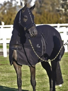Couvertures pour chevaux avec logo personnalisé, haute qualité, vente en gros, couverture d'écurie imperméable, variété de styles, équipement équestre - Product Image 4