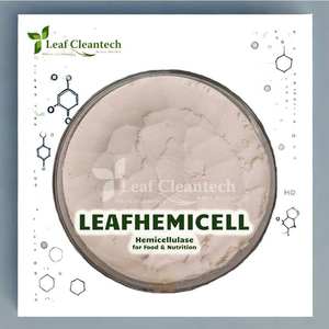 Enzima Hemicelulasa de Alta Eficiencia de la India para la Descomposición de Fibras en Aplicaciones de Alimentos y Nutrición - Product Image 1