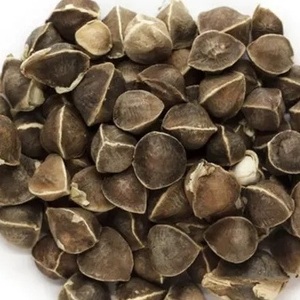 เมล็ดมะรุมเพื่อสุขภาพและความมีชีวิตชีวา - Product Image 1