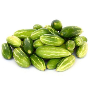 Prix de gros Courge verte pointue fraîche de qualité supérieure, légume Potol rayé du Bangladesh - Product Image 6