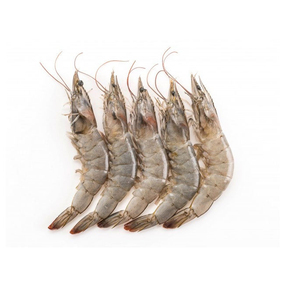 Camarones Congelados al por Mayor, Carne de Camarón de Primera Calidad, Suministro a Granel, Grado Alimenticio, Listos para Enviar, Exportación - Product Image 1