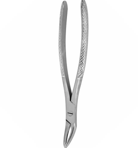 Forceps d'extraction dentaire de haute précision, réutilisables, en acier inoxydable, instrument chirurgical d'extraction - Product Image 2