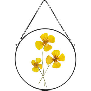 Handmade Brass Picture <b>Frame</b> Octagon <b>Glass</b> Pressed Flower Display <b>Hanging</b> Photo <b>Frame</b> Metal Geometric Plant Specimen Art Display - Product Image 4