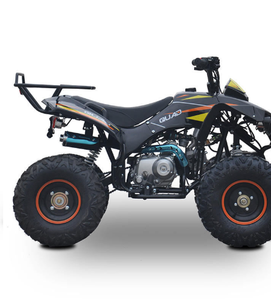 Nouveau quad à essence automatique 110cc 4 temps à transmission par chaîne pour enfants et adolescents avec certification CE - Product Image 2