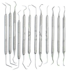 12 Piece Dental Probe Pick <b>Tool</b> Set Stainless Steel Scaler <b>Teeth</b> <b>Cleaning</b> Oral Hygiene Kit Medic Surgical Instruments - Product Image 1