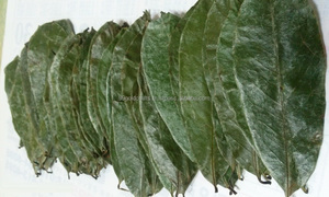 Feuilles de corossol séchées en vrac pour la transformation alimentaire et des boissons, Vietnam - Product Image 3