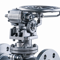 Vanne à boisseau sphérique à trunnion en acier forgé Q347H A105 Classe 300 avec siège métallique, Vanne à boisseau sphérique à trunnion API 6D