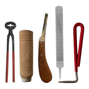 Outils professionnels, kit de coupe de sabots en acier inoxydable robuste, 5 pièces, durable, certifié CE, fournitures de fermeur pour chevaux - Product Image 1