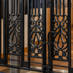 Puerta de Seguridad Plegable Decorativa Negra de Hierro Forjado con Paneles Florales para la Seguridad del Hogar - Product Image 3