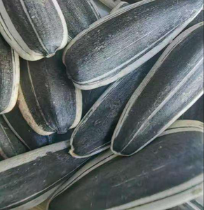 Sunflower Seeds - No Shell, Hulled <b>Kernels</b>, Kosher, Healthy Snack - Product Image 3
