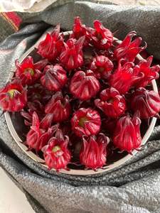Fleurs d'hibiscus séchées pour la fabrication de tisanes artisanales et d'infusions florales uniques pour les boutiques de vente au détail de style de vie - Product Image 6