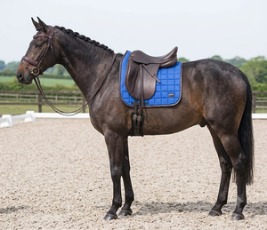 Professional Classic <b>Equestrian</b> Fancy Design Leather Polycotton Saddle Pad Customizable Non-Slip Fleece Custom Color Hand Strap - Product Image 6