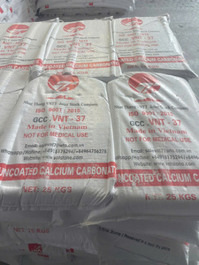 Proveedor de Vietnam de polvo de carbonato de calcio GCC para material de construcción de masilla de cemento para paredes - Product Image 1