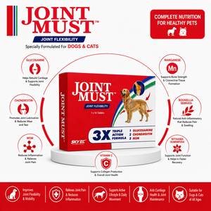 Best Quality Joint Must Pet Joint Supplement Tablets Essential Nutrients for Dogs Cats Joint Health Mobility Support Sale - Product Image 3