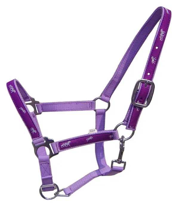 Wholesale Hot Selling Adjustable Custom Nylon Horse Riding Halter all sizes color design Horse Racing Equestrian outdoor sports