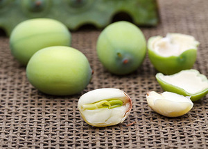 Graines de lotus vert frais de haute qualité d'origine du Vietnam disponibles pour l'exportation en gros en vrac aux prix directs d'usine - Product Image 6