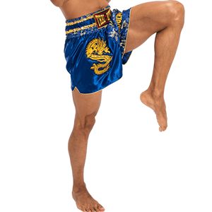 <b>Men</b> Muay Thai <b>Shorts</b> Satin Dragon Scale Print Elastic Waist Training Gym Kickboxing Lightweight top <b>mens</b> muay thai mart - Product Image 3