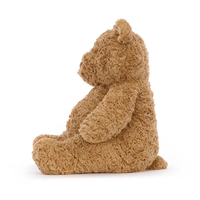 Peluches d'ours douces et mignonnes, cadeau idéal pour les anniversaires et les occasions spéciales