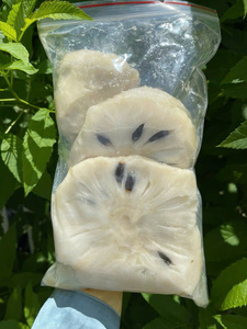 Pâte de Corossol Congelée Prix Usine, Ingrédient Naturel de Pulpe de Graviola pour Smoothies, Cocktails et Boissons - Macy - Product Image 1
