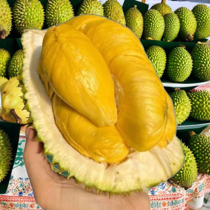 Malaysia Musang King Frozen Whole Premium