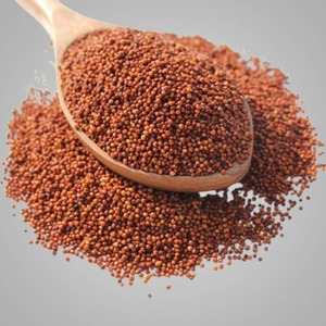Farine de millet jaune décortiqué biologique non glutineux, qualité fraîche, céréales nutritives à vendre, stock direct, source de gros rapide - Product Image 1