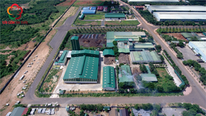 Café Instantáneo de Aroma Intenso, Fabricante a Granel, Precio Económico, Café Liofilizado, Producto de Venta Caliente, Cafeína 2% - Product Image 6