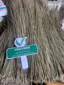 Brosse en fibres de coco naturelles - Flexible et durable, matériau naturel, durée de conservation de 24 mois, pour le nettoyage du jardin et de l'extérieur - Product Image 4
