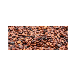 เมล็ดโกโก้คัดสรรพิเศษสำหรับทำขนมและช็อกโกแลต - Product Image 1