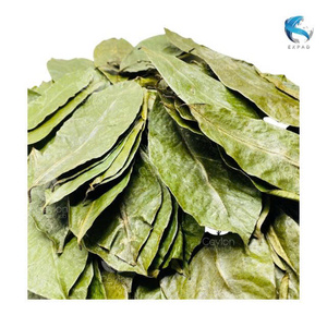 ใบกัวนาบานาแห้ง ใบซอร์ซอปบริสุทธิ์ ใบอะโนน่า มูริคาตา ใบกราวิโอลาดิบ ผู้จัดจำหน่าย ข้อเสนอสุดพิเศษ - Product Image 4