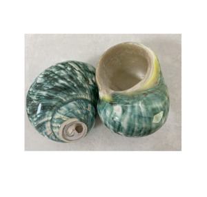 COLORIDO NUEVA LLEGADA CONCHAS SEASHELL HERMOSA e IMPRESIONANTE PATRÓN DE TIRAS LUNA NATURAL CARACOL CONCHA SEASHELL VIETNAM SUMINISTRO BARATO - Product Image 3