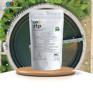 STP Biocultura para pulido de efluentes Maquinaria de tratamiento de residuos para plantas de aguas residuales - Product Image 2